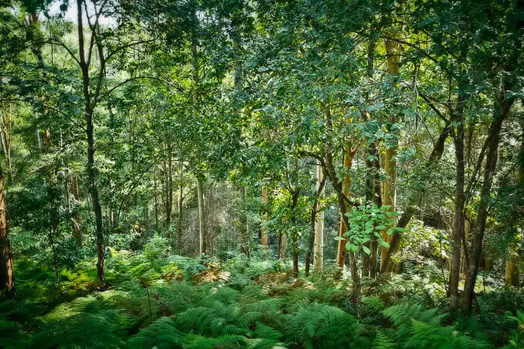 Second view of Homely land listing, 16 Mount Street, Fernmount NSW 2454