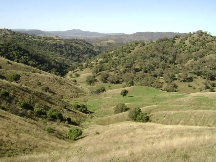 Main view of Homely rural property listing, 1999 "HOLLINGVALE"  ROUCHEL ROAD, Scone NSW 2337