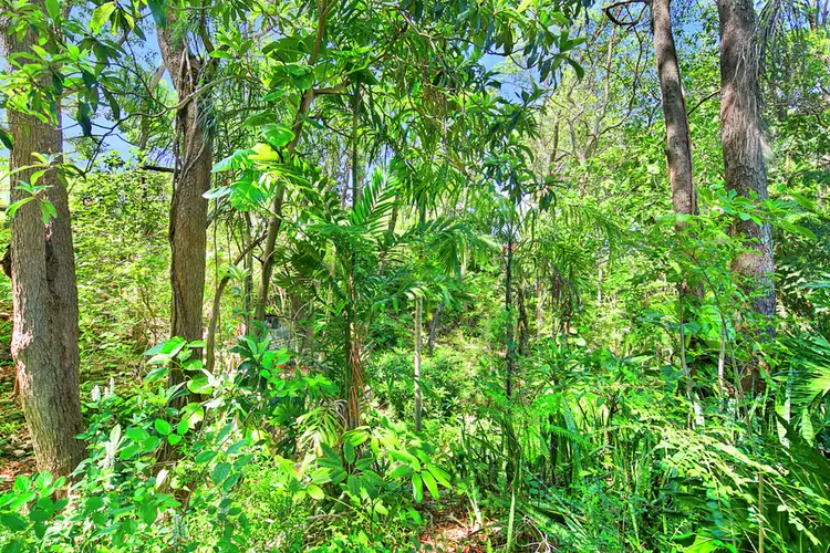Fourth view of Homely house listing, 17 Quebec Avenue, Camp Hill QLD 4152