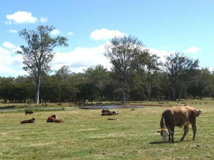 Third view of Homely house listing, 397 Hiddenvale Road, Calvert QLD 4340
