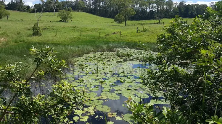 Third view of Homely land listing, Lot 13 Winterleigh Way, Greens Creek QLD 4570