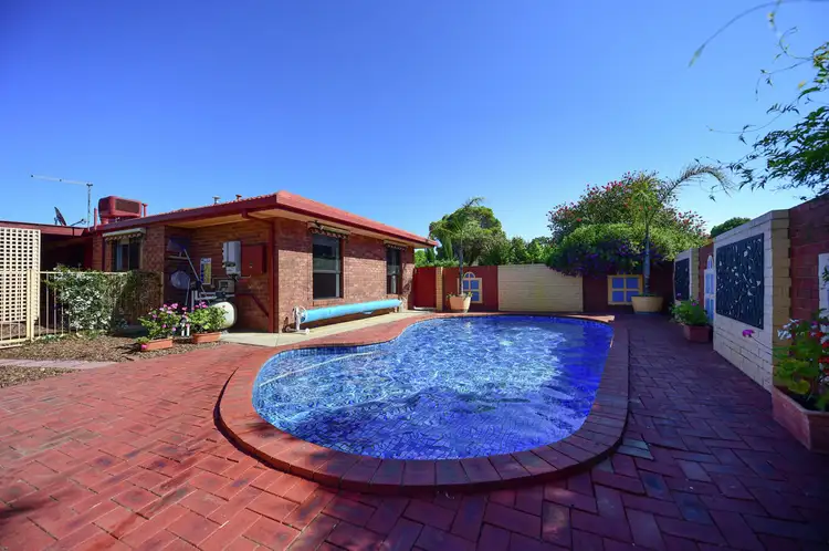 Main view of Homely house listing, 377 Poplar Drive, Lavington NSW 2641