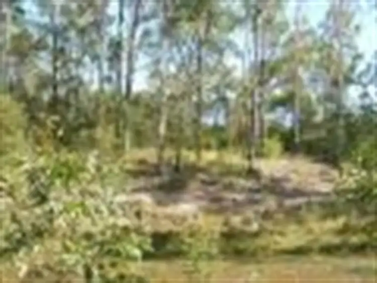 Sixth view of Homely other listing, Lot 6 Two Twenty Eight Rd, Duckinwilla QLD 4650
