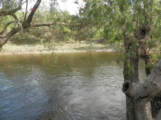 Sixth view of Homely rural property listing, Lot 9, 1534 Paddys Flat Rd, Tabulam NSW 2469