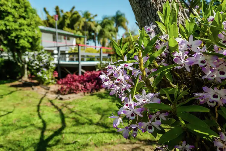 Seventh view of Homely rural property listing, 111 Old Ferry Road, Urunga NSW 2455