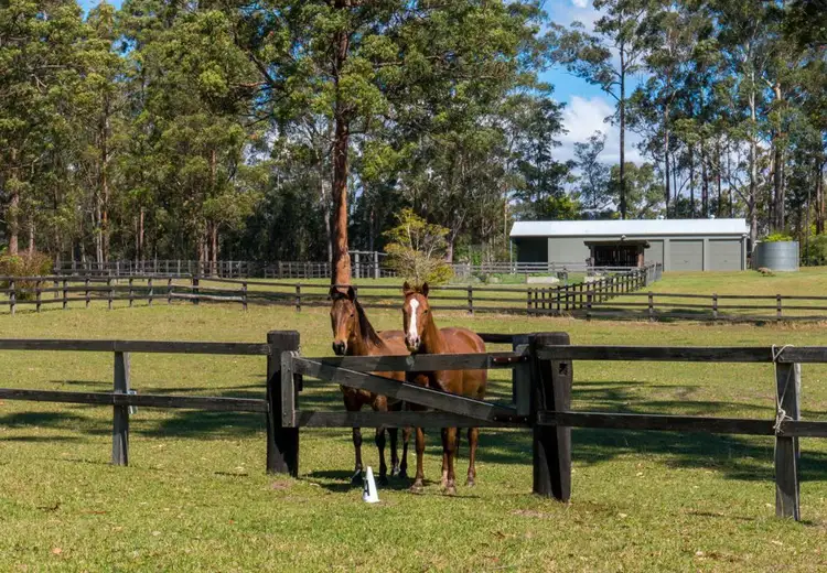 40 Sauls Lane, Barraganyatti NSW 2441