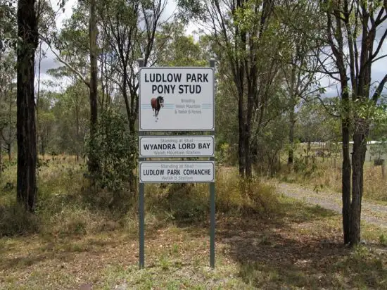 Seventh view of Homely land listing, 932-940 Pialba Burrum Heads Road, Craignish QLD 4655