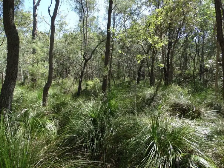 Fourth view of Homely rural property listing, Lot 13 Muller Road, Baffle Creek QLD 4674