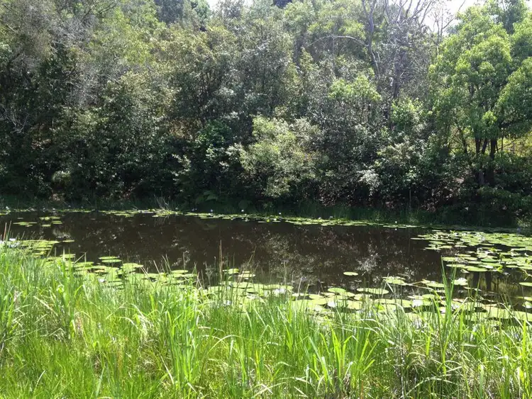 Fourth view of Homely rural property listing, 1072 Valla Road, Valla NSW 2448