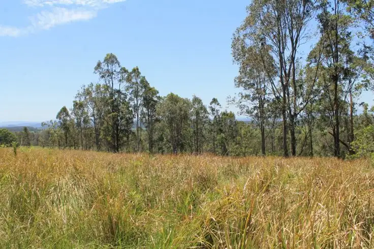 Fifth view of Homely rural property listing, 781 Dyraaba Road, Kyogle NSW 2474