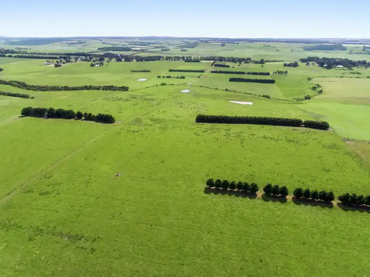 Third view of Homely rural property listing, 425 Birregurra-Forrest Road, Birregurra VIC 3242