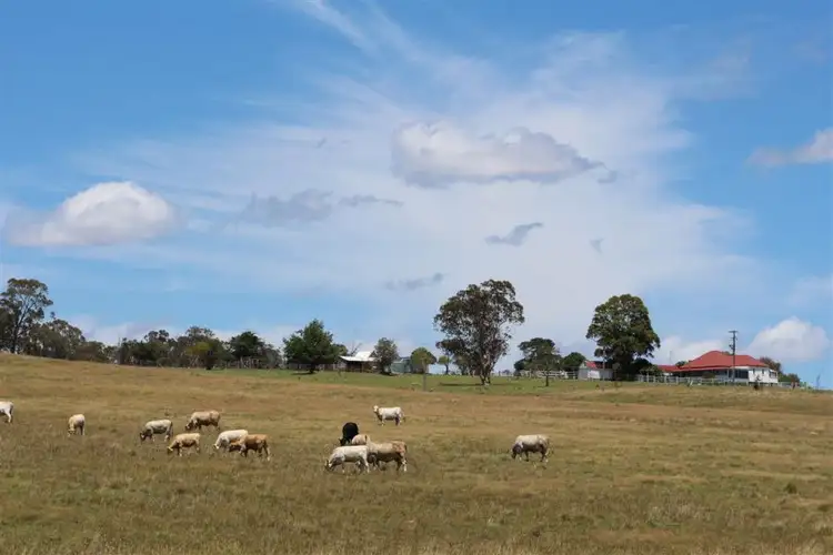 Fifth view of Homely rural property listing, 640 Scrub Road, Tenterfield NSW 2372