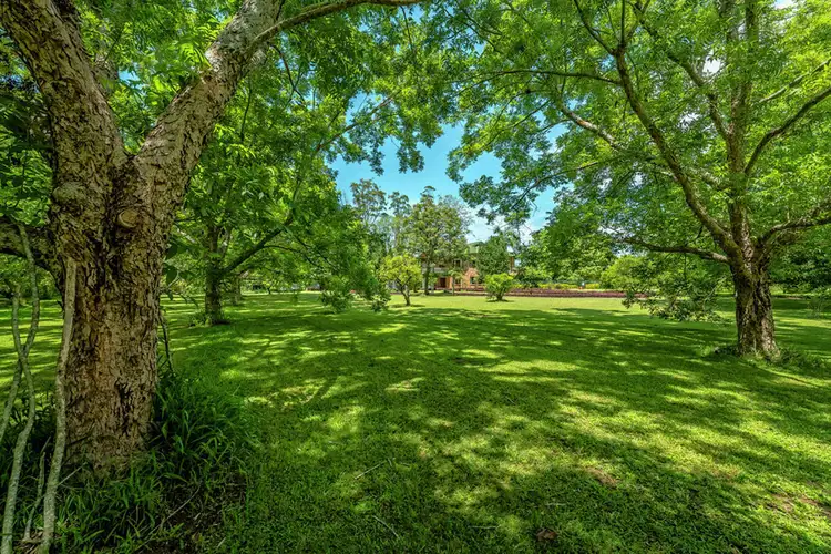 Sixth view of Homely rural property listing, 399 Summervilles Road, Thora, Bellingen NSW 2454