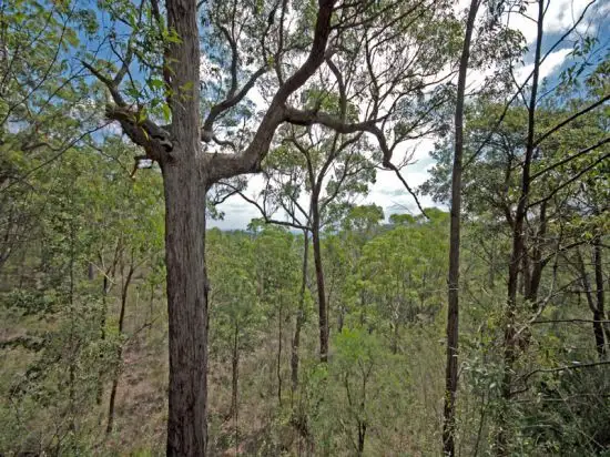 Fourth view of Homely rural property listing, 1906 George Downes Drive, Kulnura NSW 2250