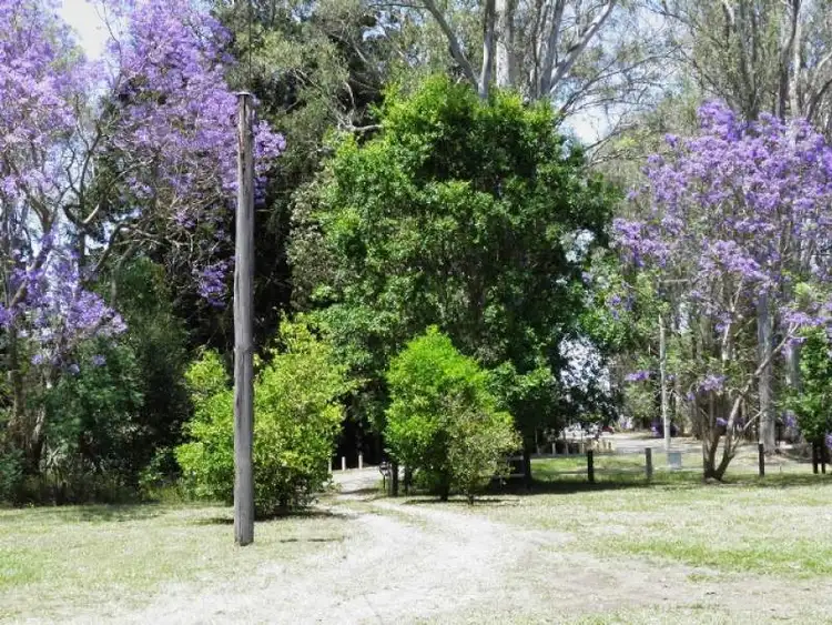 Seventh view of Homely rural property listing, 71 Progress Rd, Burpengary QLD 4505