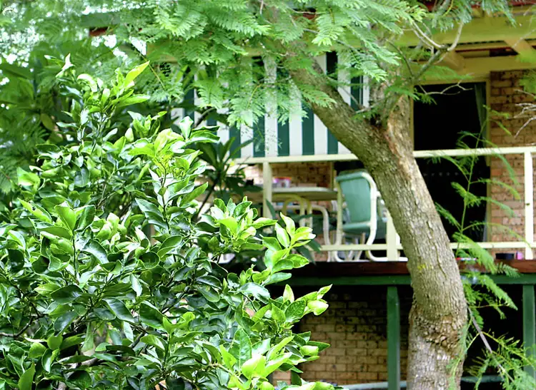 Third view of Homely house listing, 56 Crown Street, Bellingen NSW 2454