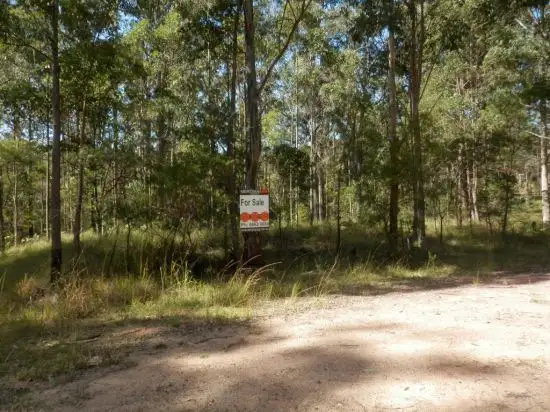 Lot 213 Long Gully Rd, Drake NSW 2469