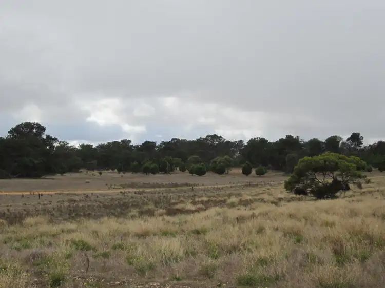 Main view of Homely rural property listing, Lot 1 Lot 2 (198S) Wellington East (Via Tailem Bend), Wellington East SA 5259