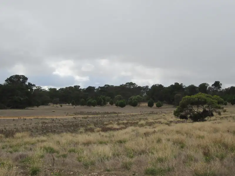 Main view of Homely rural property listing, Lot 1 Lot 2 (198S) Wellington East (Via Tailem Bend), Wellington East SA 5259