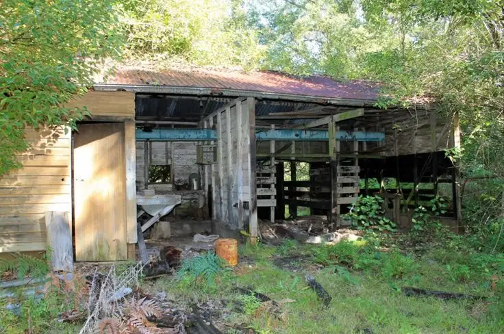 Sixth view of Homely rural property listing, Lot 1 Davis Road, Green Pigeon, Kyogle NSW 2474