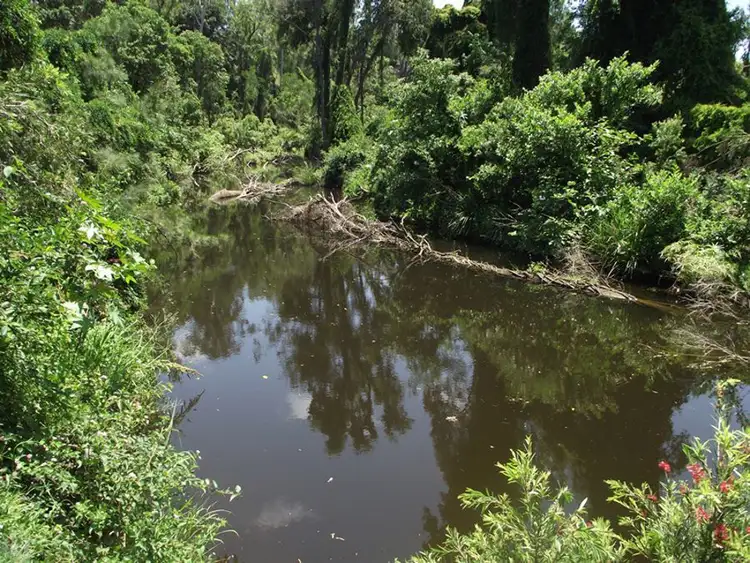 Seventh view of Homely rural property listing, Address available on request