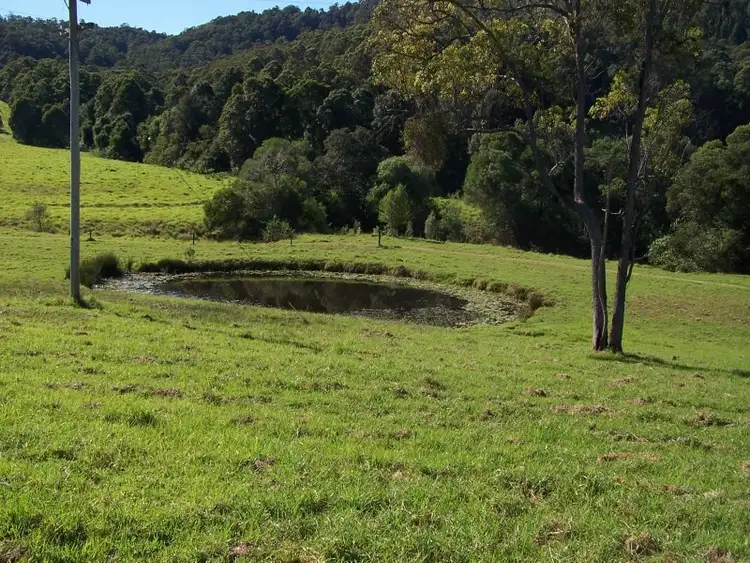 Second view of Homely rural property listing, 210 Wrights Lane, Dyers Crossing NSW 2429