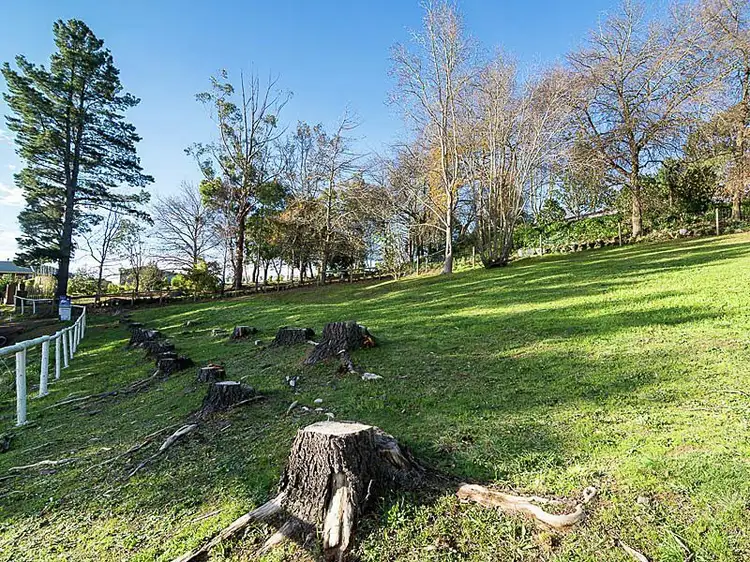Fifth view of Homely land listing, L162 Piccadilly Road, Summertown SA 5141