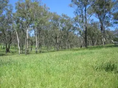 Second view of Homely rural property listing, 1 Middlebrook Drive, Scone NSW 2337