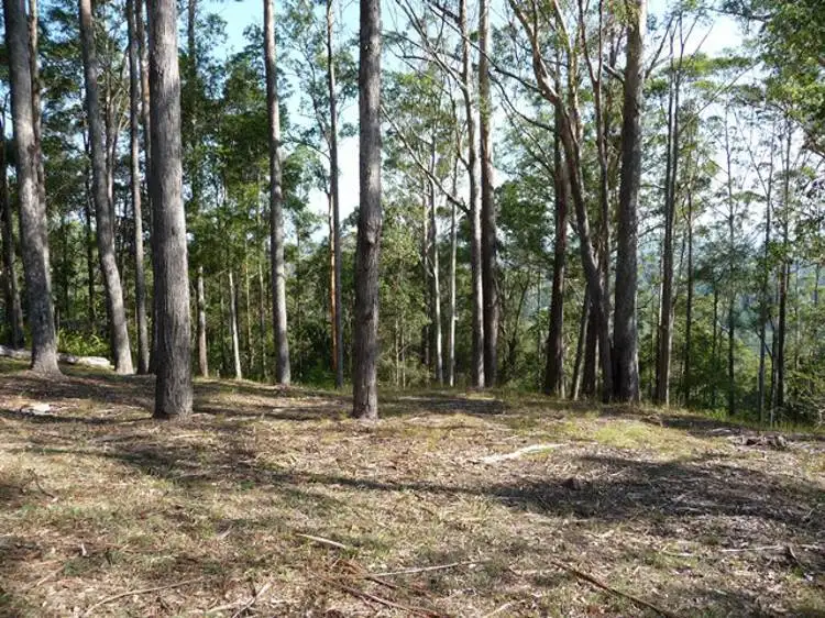 28 Meher Road, Kiels Mountain QLD 4559