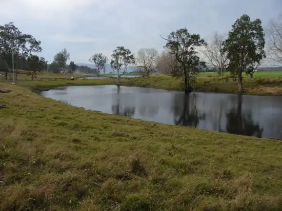 Third view of Homely rural property listing, 1354 Plain Station Rd, Tabulam NSW 2469