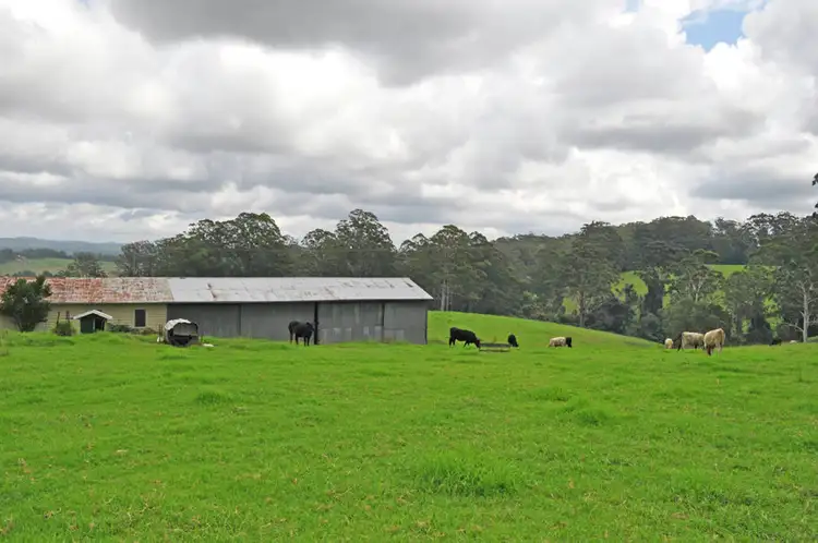 Seventh view of Homely rural property listing, 327 Moleton Road, Lowanna NSW 2450
