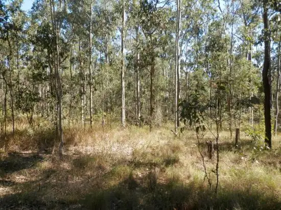 Fourth view of Homely rural property listing, Lot 2 Clarence Way, Tabulam NSW 2469