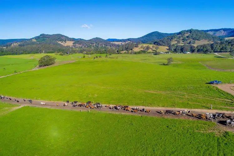 Fifth view of Homely rural property listing, 70 HECTARES Churchills Road, Long Flat NSW 2446