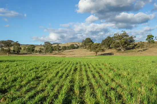 Second view of Homely rural property listing, 2010 Willow Tree Road, Merriwa NSW 2329