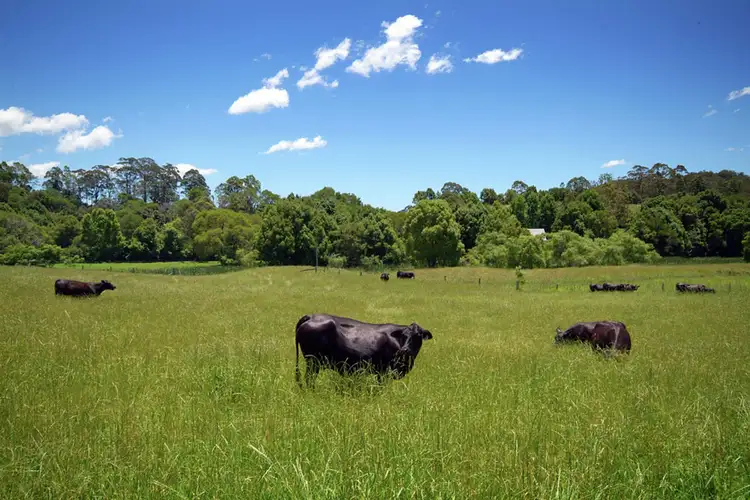 Address available on request