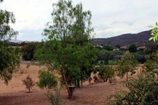 Fourth view of Homely rural property listing, 1471 Gundy Road, Scone NSW 2337