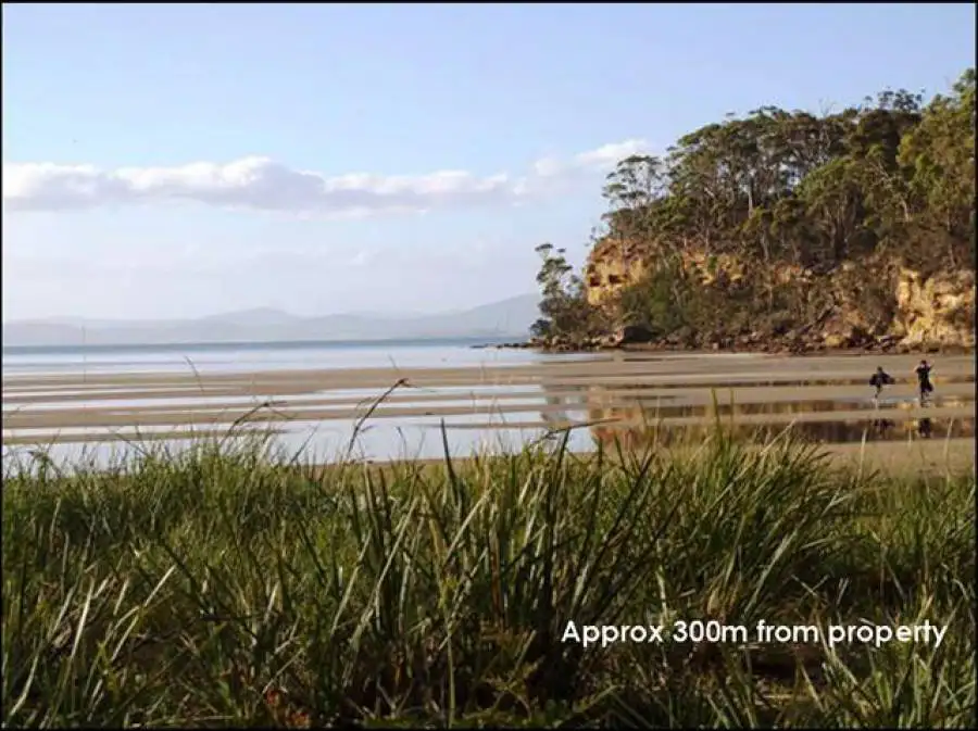 Main view of Homely house listing, 724 Nubeena Road, Koonya TAS 7187