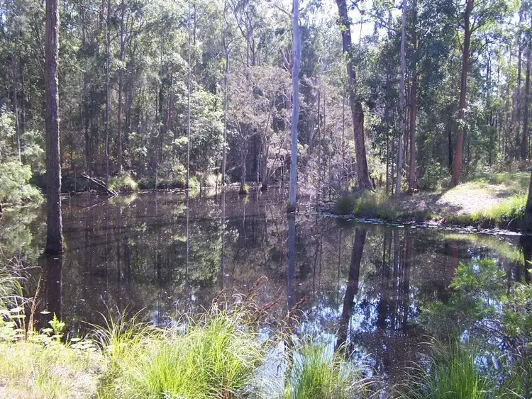 Fourth view of Homely rural property listing, 424 Minimbah West Branch, Nabiac NSW 2312