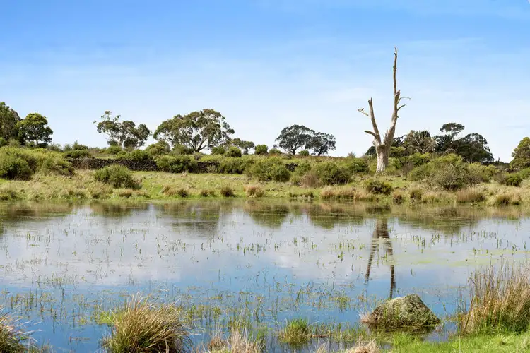 Seventh view of Homely rural property listing, 2040 Princes Hwy, Pirron Yallock VIC 3249