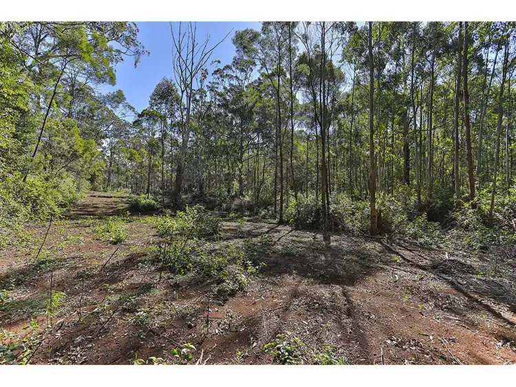 Sixth view of Homely land listing, 399/188 Hampton Road, Hampton QLD 4352