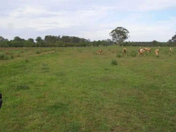 Third view of Homely rural property listing, 525 Sextonville Road, Dobies Bight NSW 2470