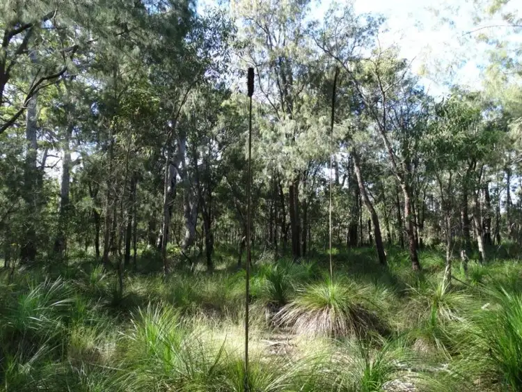 Second view of Homely rural property listing, 806 Capricornia Drive, Deepwater QLD 4674