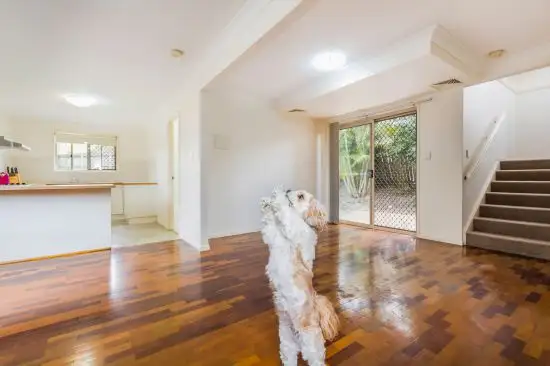 Second view of Homely townhouse listing, 3/15 Coyne Street, Sherwood QLD 4075