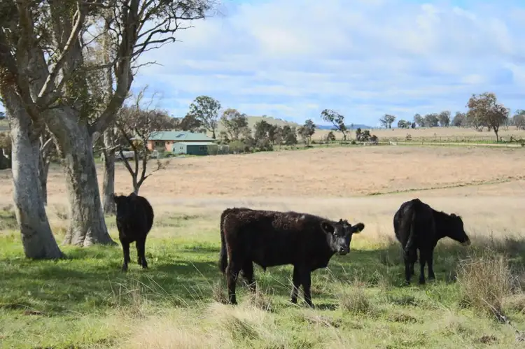 Second view of Homely land listing, 630 Bryans Gap Road, Tenterfield NSW 2372