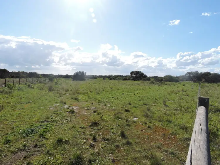 Main view of Homely rural property listing, Lot 4 Off Princes Highway, Tailem Bend SA 5259