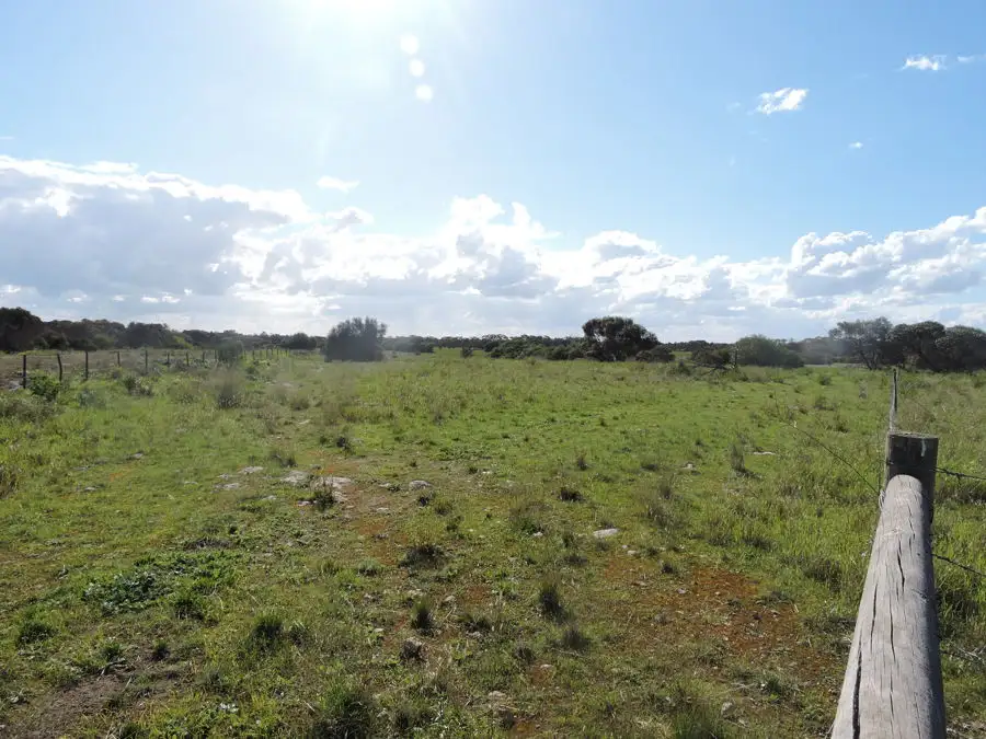 Main view of Homely rural property listing, Lot 4 Off Princes Highway, Tailem Bend SA 5259