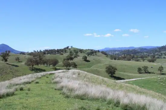Second view of Homely rural property listing, 1 Kuloo Waverley Road, Scone NSW 2337