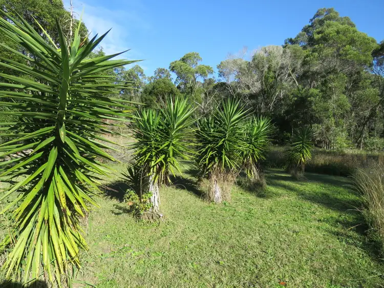 Second view of Homely rural property listing, Crescent Head Road, Kempsey NSW 2440