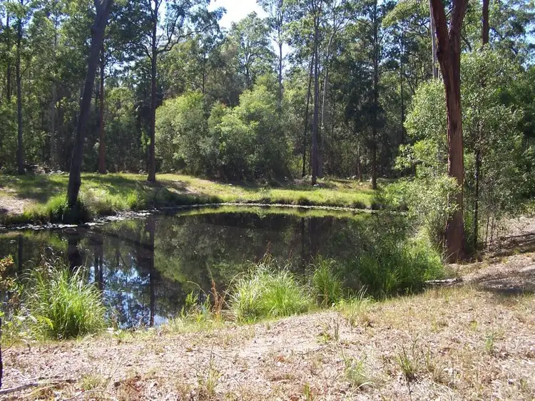 Third view of Homely rural property listing, 424 Minimbah West Branch, Nabiac NSW 2312
