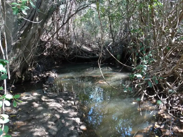 Fifth view of Homely land listing, 312 Mollenhagens Road, Winfield QLD 4670